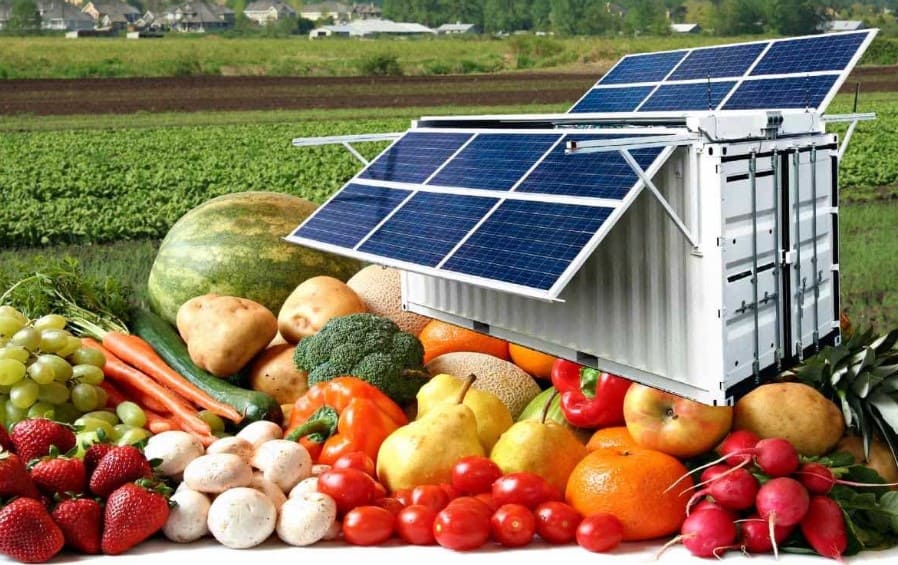 panel solar en la agricultura para conservación de alimentos