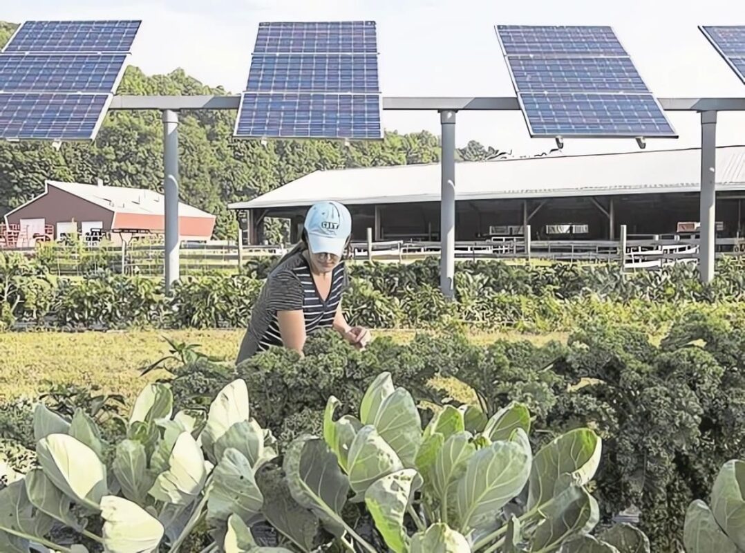 solar panels in agriculture